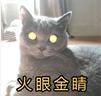 大理成省会城市、昆明成直辖市？真相来了...