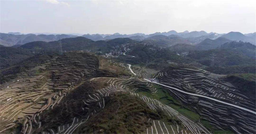 龙场镇人口_人口普查图片(2)