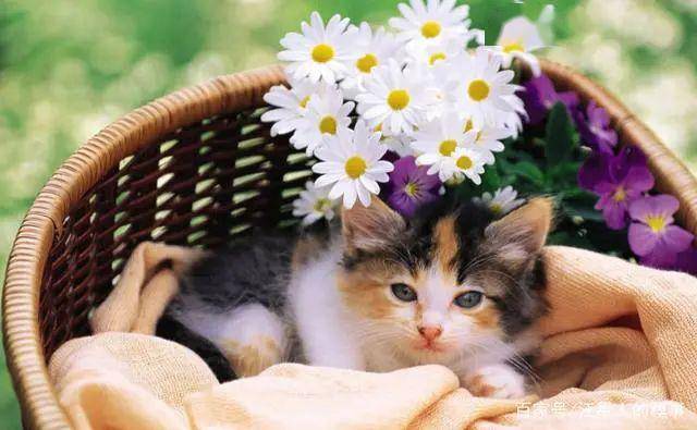 005d514aafe5400c87214d91f068c248.jpeg