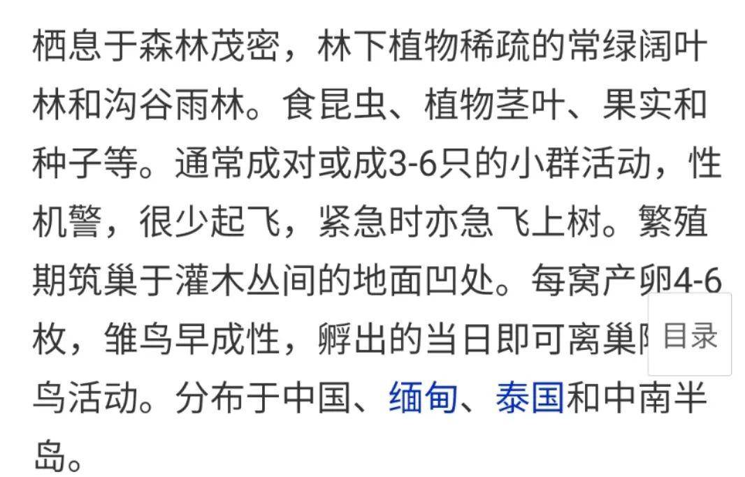 野生动物简谱_我爱我的小动物简谱(2)