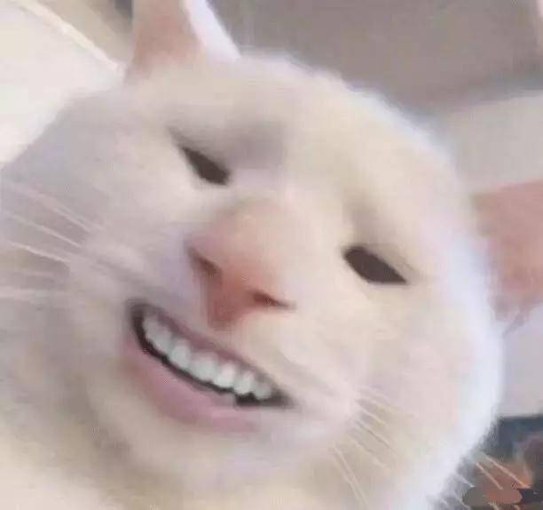 64e1d580ab0d43cfa9b2977ff55805a8.jpeg