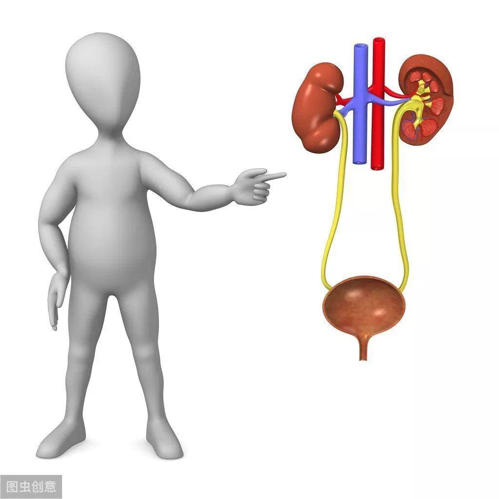女人尿频尿急尿痛怎么治疗 69924a657bda4f1e9462597db9543c1e.jpeg