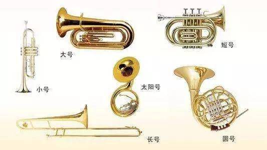 狭义上的管乐器分为  木管(legni)和  铜管(ottoni)两大类,前者包括