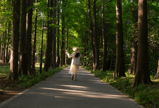 5.20#你敢来滨江森林公园虐