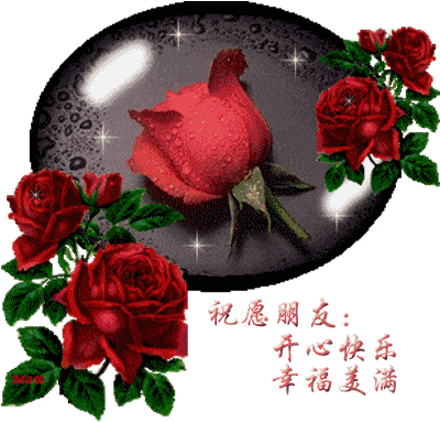 400_383gif 动态图 动图