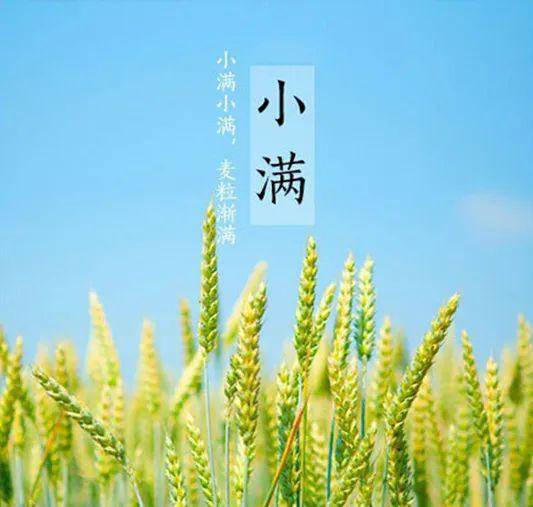 c2e708cbd938460d94caec660245ef2a.jpeg