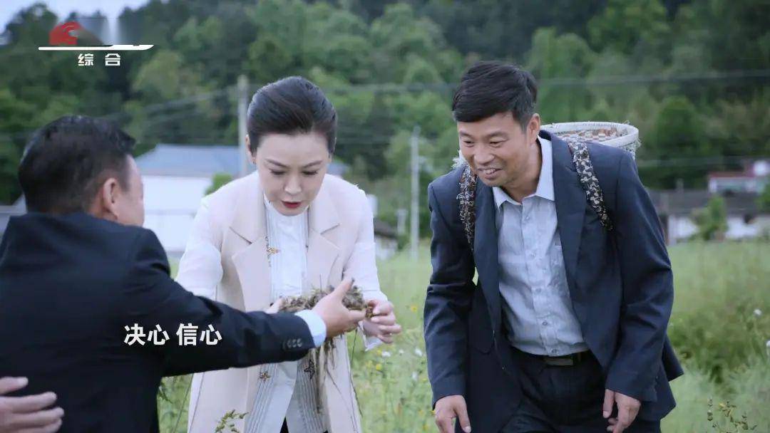 花繁叶茂持续热播你最喜欢的人物是谁快来投票