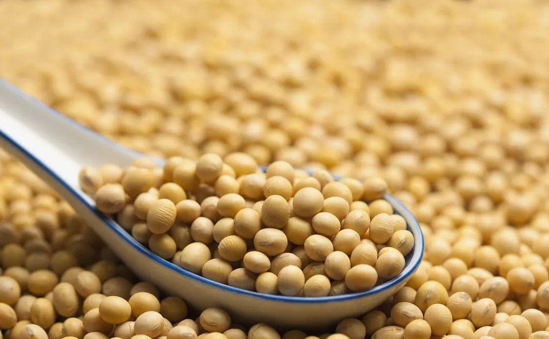 优质蛋白食物排行榜前十名图片 eb9cc4d72c904307bb871336b8d534ba.jpeg