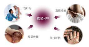 fe518cd2bcab4c90b7c91e07c91cb689.jpeg