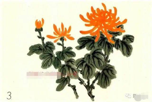 写意花卉画的整体画法,各种写意花卉画法图文详解!