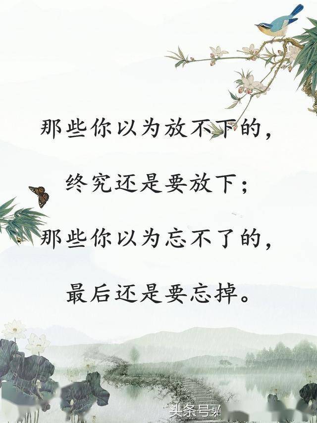 枫林残忆曲谱_枫林图片(3)