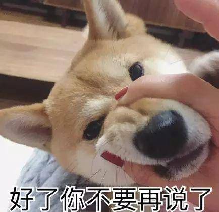 901551a288dc4108994c25ee06bb6be4.jpeg