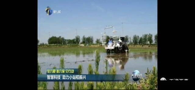 天津市王稳庄镇GDP_天津市西青区王稳庄镇