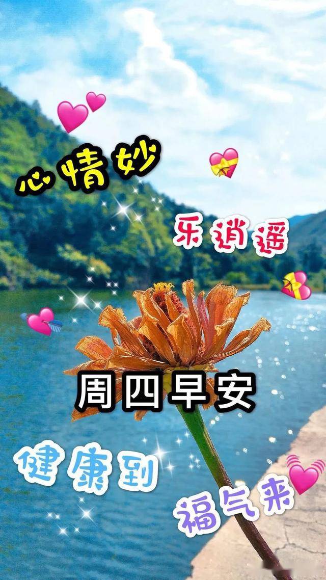 d800eddb650944cb98a4ceb6c1b7ec2f.jpeg