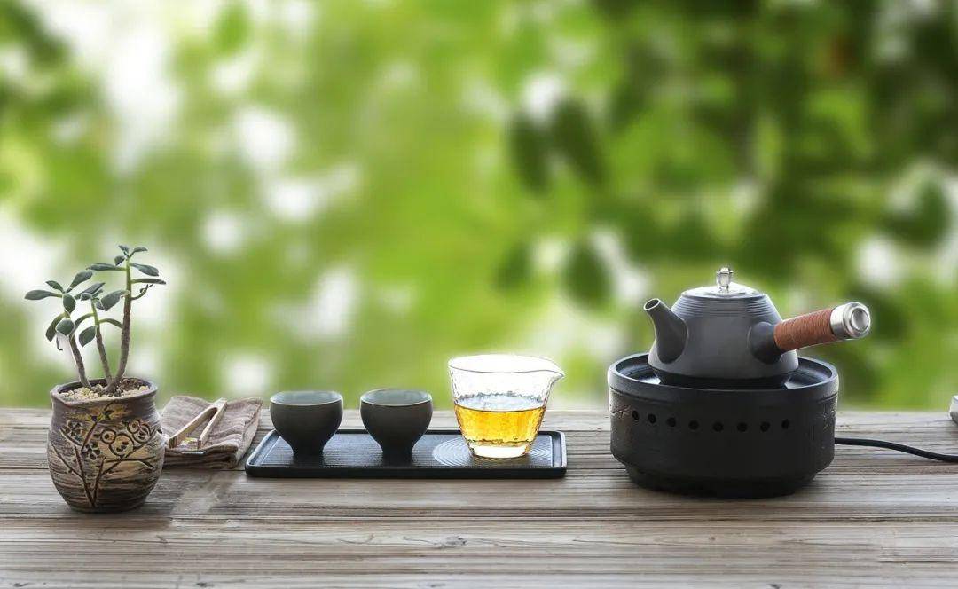 首个国际茶日让我们一起感受闽茶的魅力
