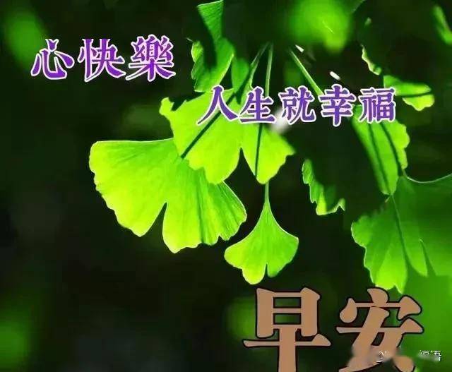 08aefefa46bb4a45996f3d029c3efee1.jpeg