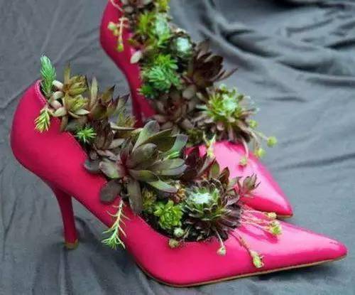 「植物」让种植成为孩子探索自然的起点！【植物角】60种植物角新玩法