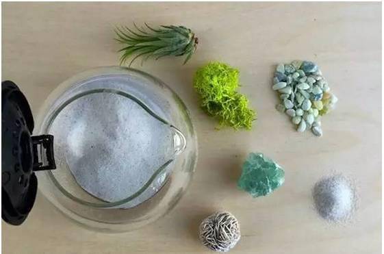 「植物」让种植成为孩子探索自然的起点！【植物角】60种植物角新玩法