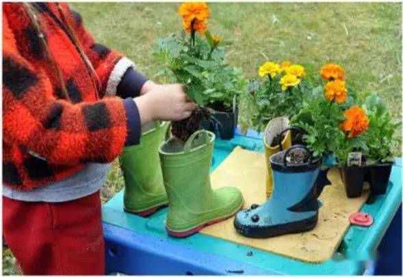 「植物」让种植成为孩子探索自然的起点！【植物角】60种植物角新玩法