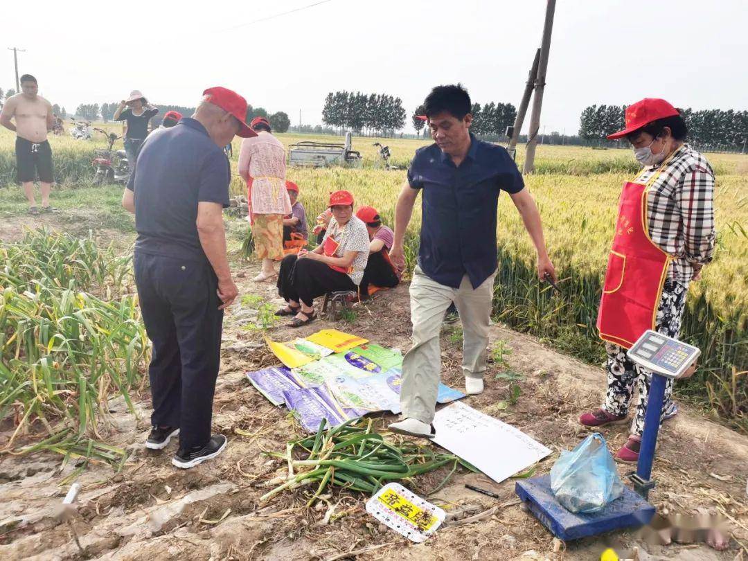 原阳县陡门乡潘庄村搬迁人口_原阳县陡门乡地图(3)