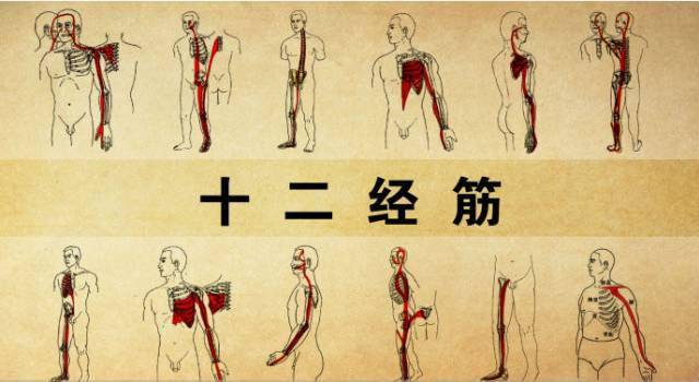 拉开身上"筋结",专家独门拉筋法,8~80岁都适用