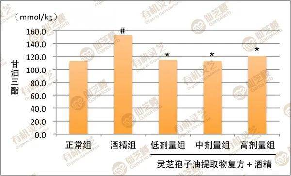 肝gdp(2)