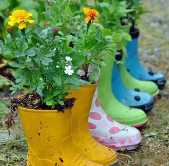 「植物」让种植成为孩子探索自然的起点！【植物角】60种植物角新玩法