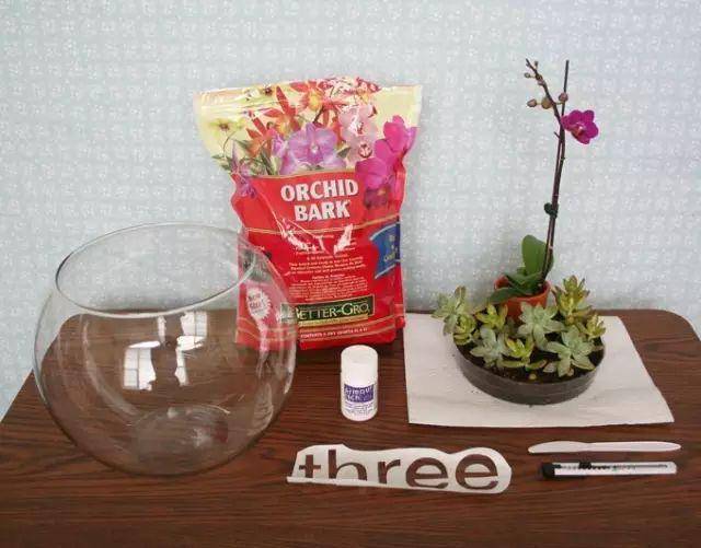 「植物」让种植成为孩子探索自然的起点！【植物角】60种植物角新玩法