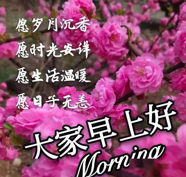 早安漂亮祝福图,早上好问候句子