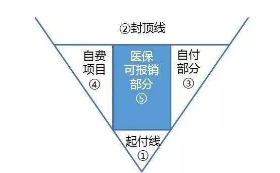 部分和自费内容都需要自己掏腰包,把它涂成白色,医保报销部分涂成蓝色