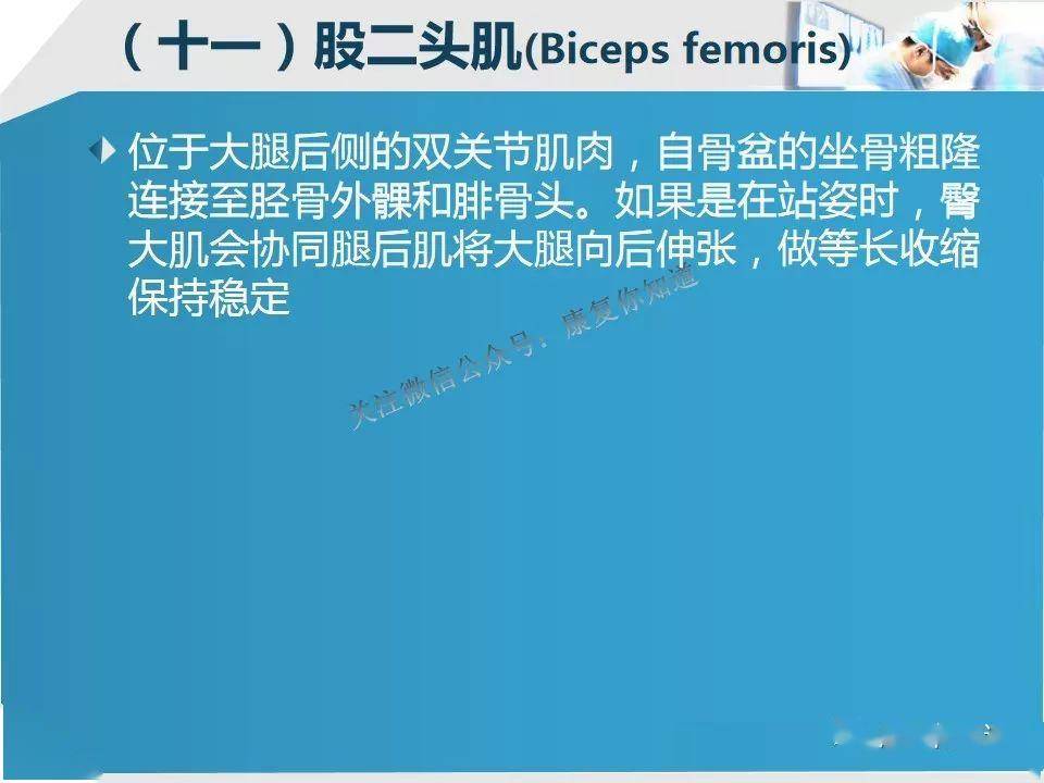 a1e2d6209eb142adbac252a0e1b07547.jpeg
