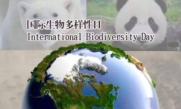 522国际生物多样性日以自然之道养万物之生