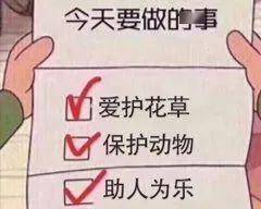 ecd315926f764754b0b7ff5d9616c70e.jpeg