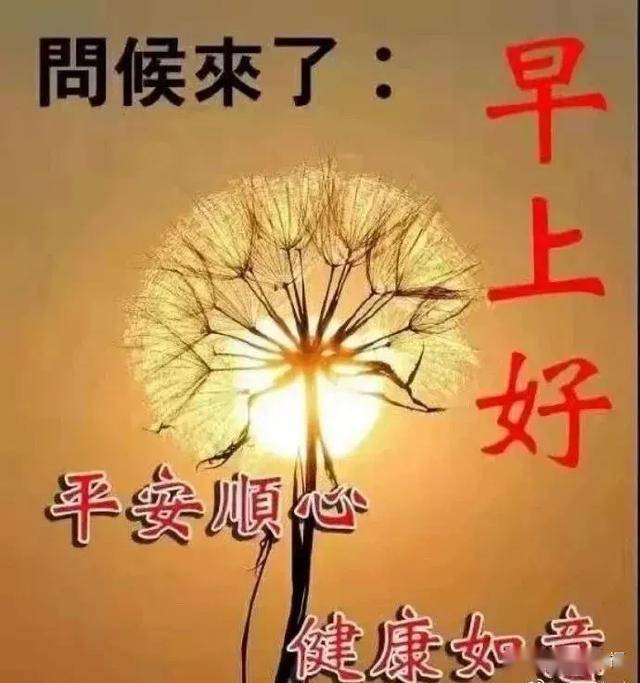 3f9bc70967aa405798768eb862c09e72.jpeg