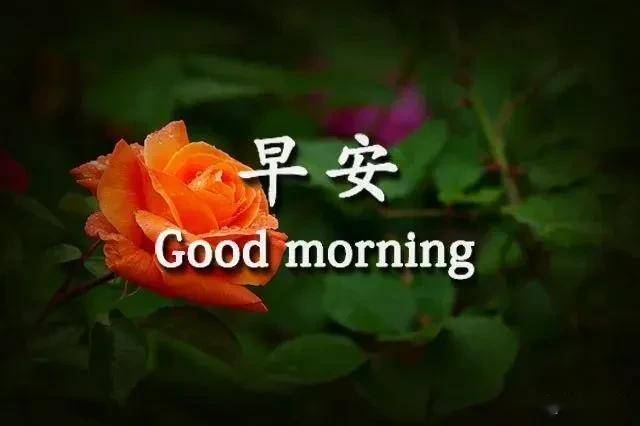 65141ab0a69d49918a69199cf95cdb7a.jpeg
