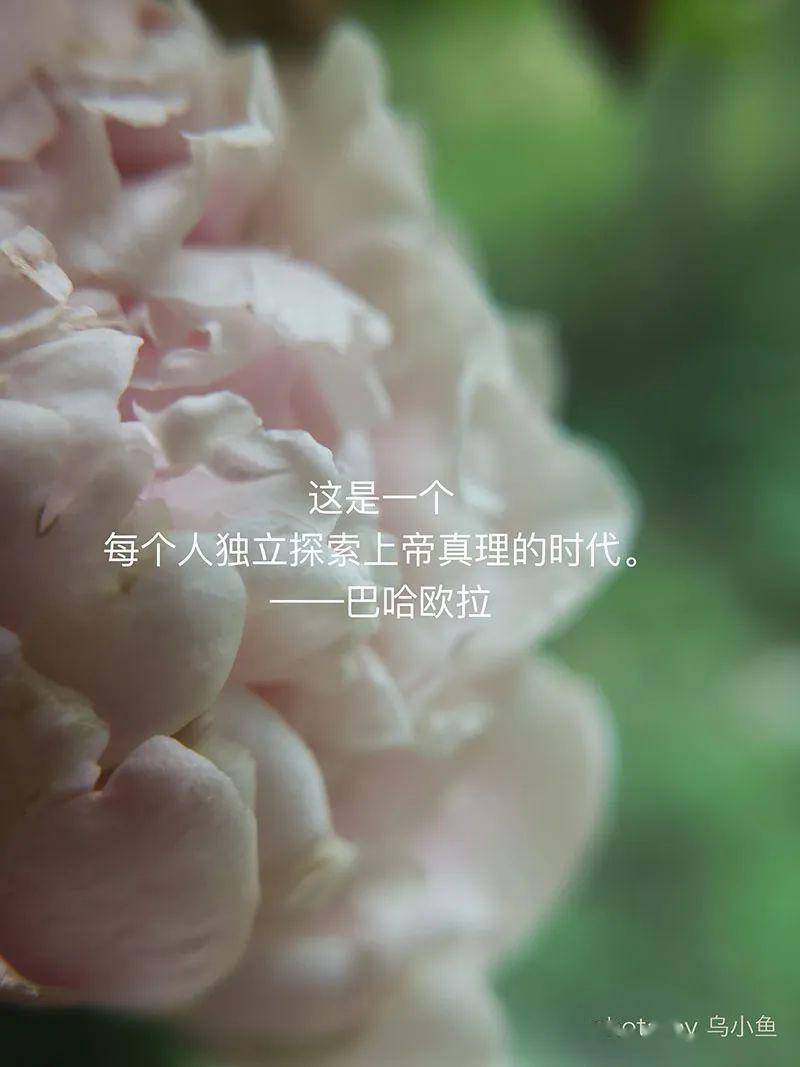 梦境解析，当下牙松动，即将脱落的意象在梦中显现——探索内心深处的变化与启示