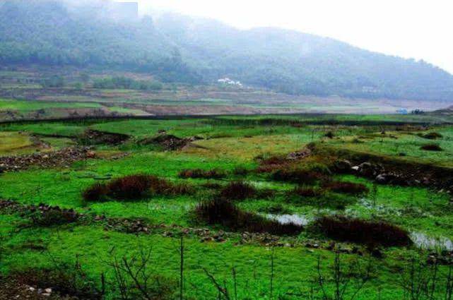 猜成语气下面有山有水_看图猜成语