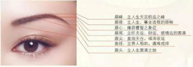 面相学说眉毛断财运断