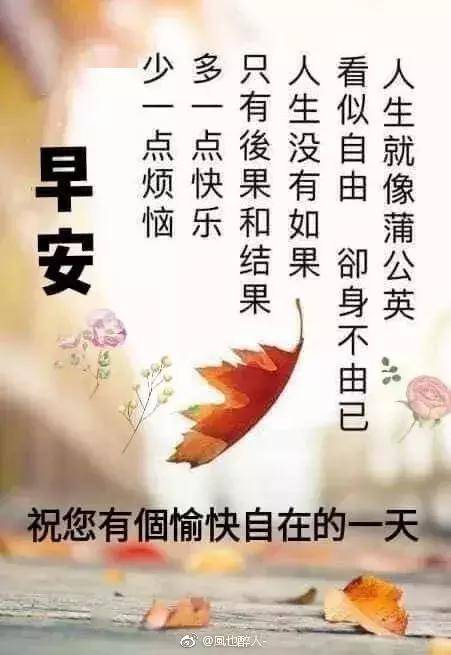 73ec443c929c487195cd9302fca005cf.jpeg