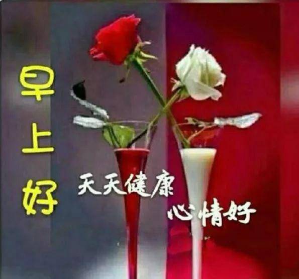 93ae6f7022ae4f19982bb49c7b159ec4.jpeg