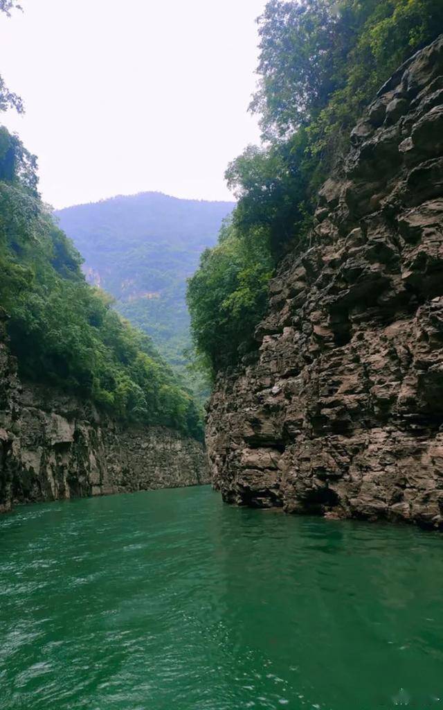 重庆各个区县2020年g_成都各个区划分地图(3)