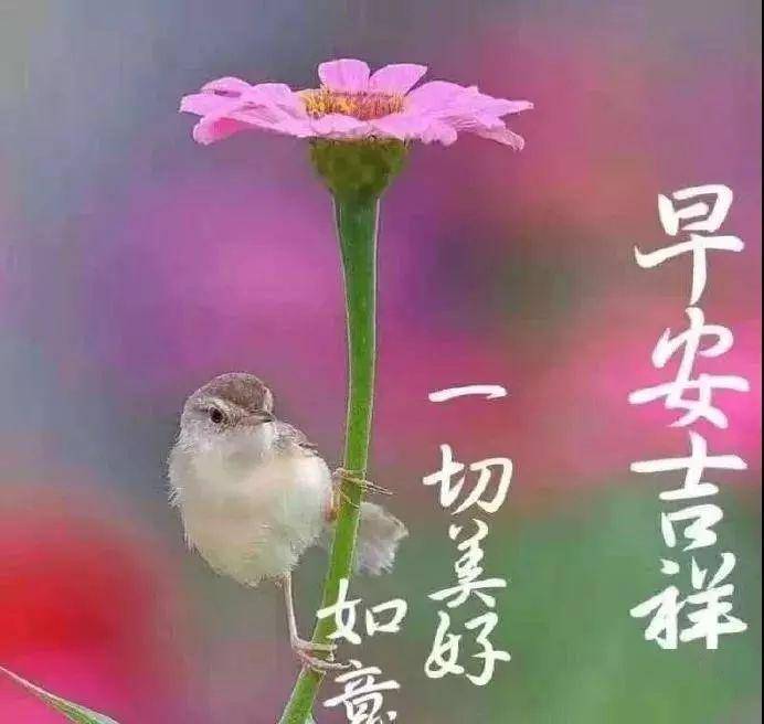 ce761b610cdd41b9b0d7c19738d6b032.jpeg