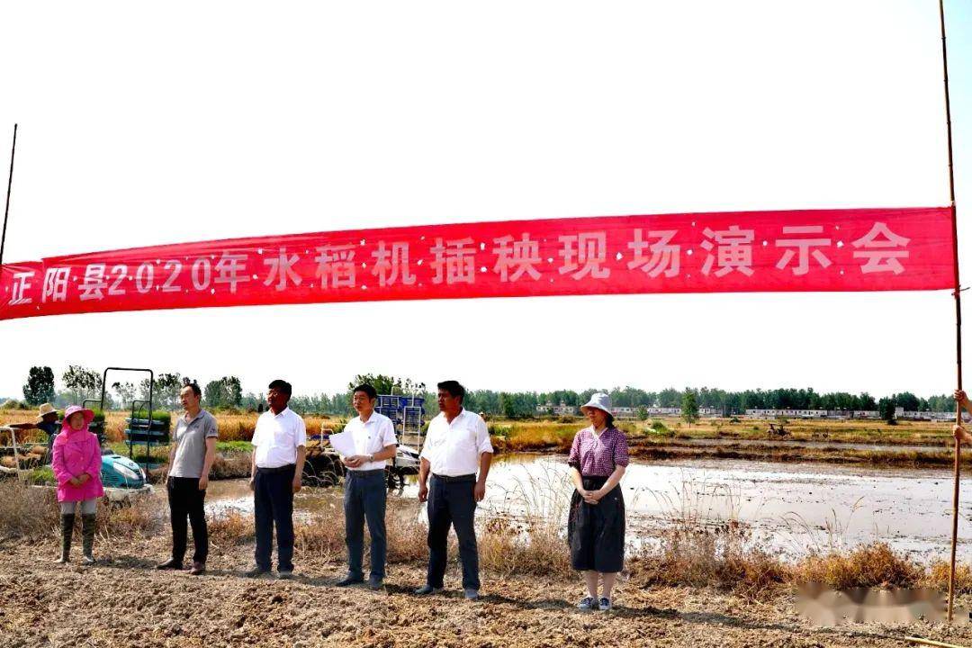 彭桥乡人口_霍邱县彭塔乡乡村图片(2)