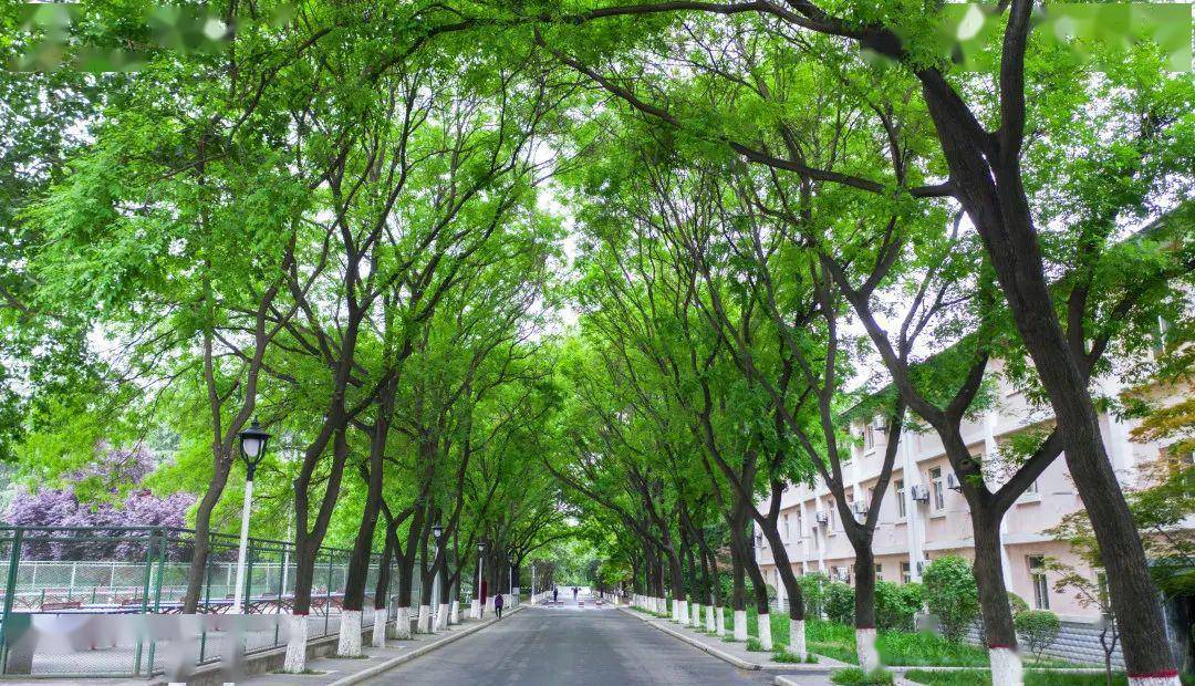 超养眼丨陕西师范大学"森系写真"!_校园