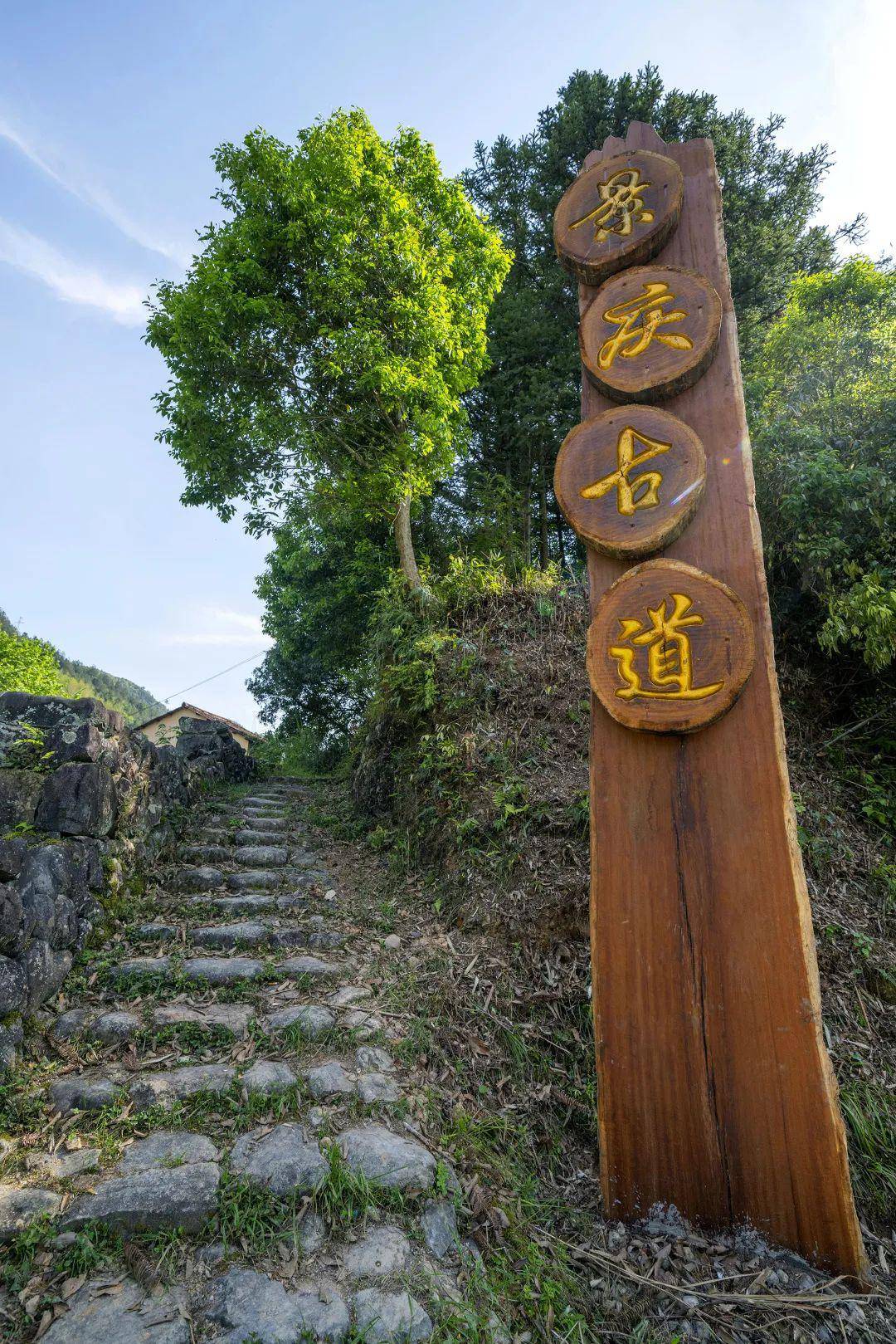 百山祖国家公园之:景庆古道