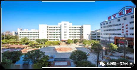 2020年株洲市天元区gdp_株洲市天元区响水图片