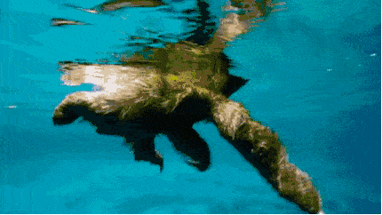 430_242