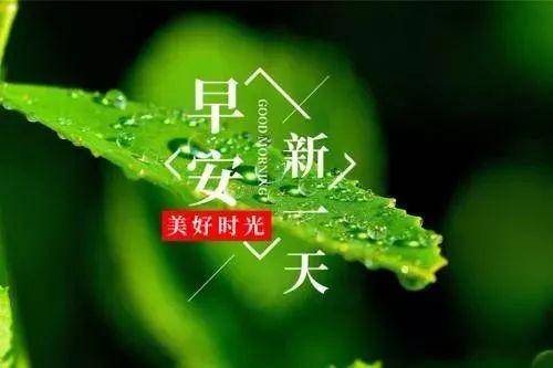 你能承载多少卑贱,便能驾驭多少荣耀,新的一天,早安!