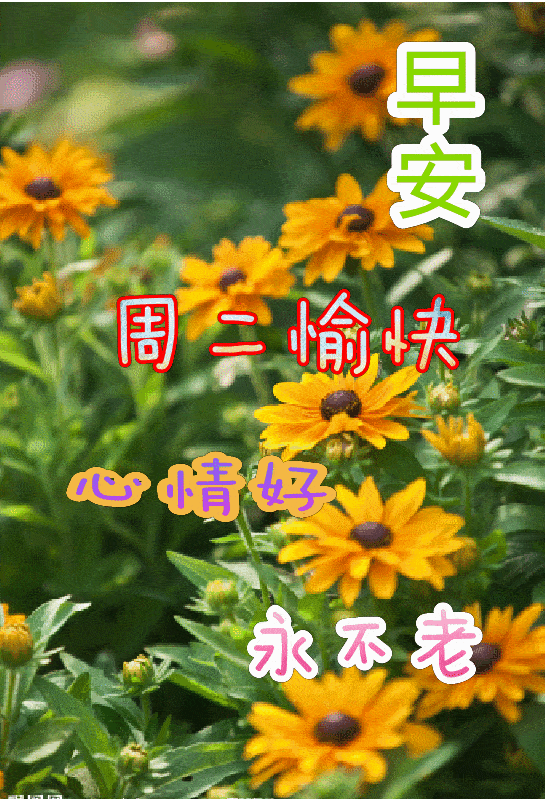 5月27日周三清晨早上好问候祝福动态表情图片