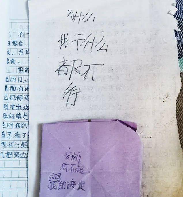 9岁女孩因作文跳楼，遗书扎心：现在的孩子，压力有多大？